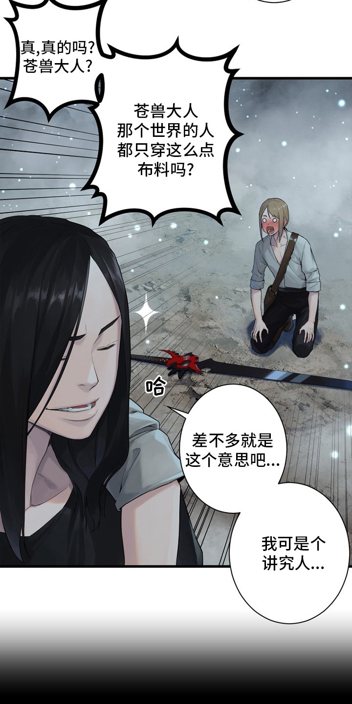 第161章：坏小偷
