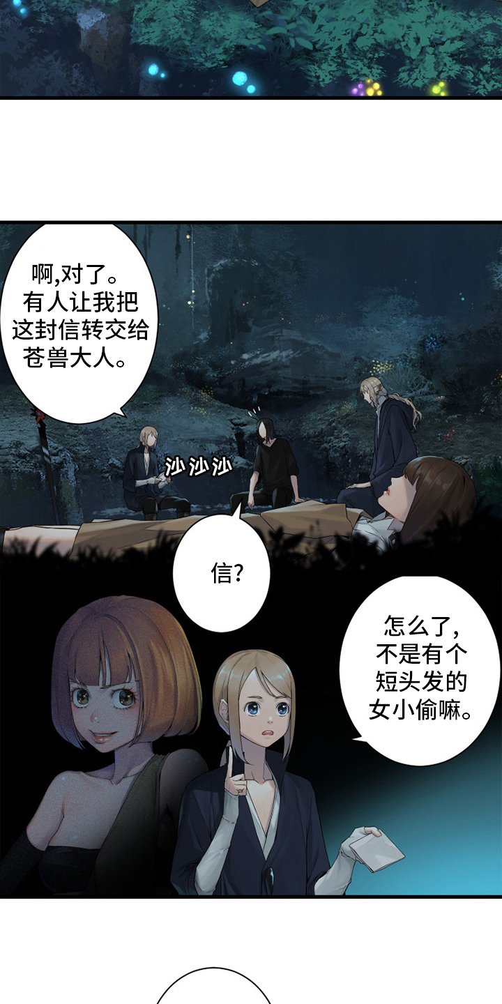 第161章：坏小偷