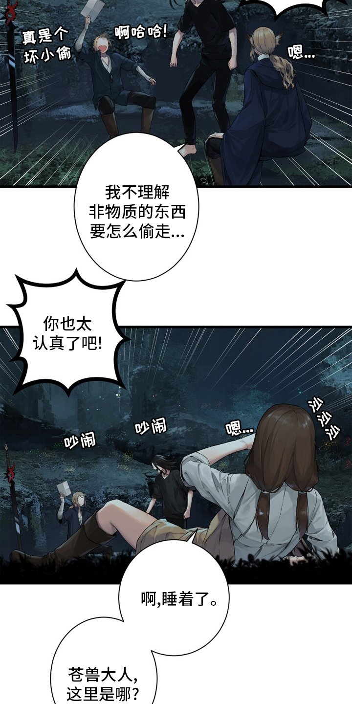 第161章：坏小偷