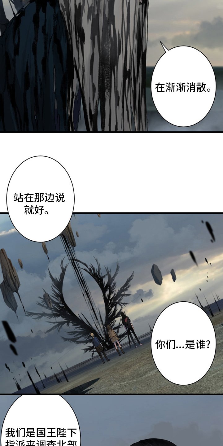 第166章：真相