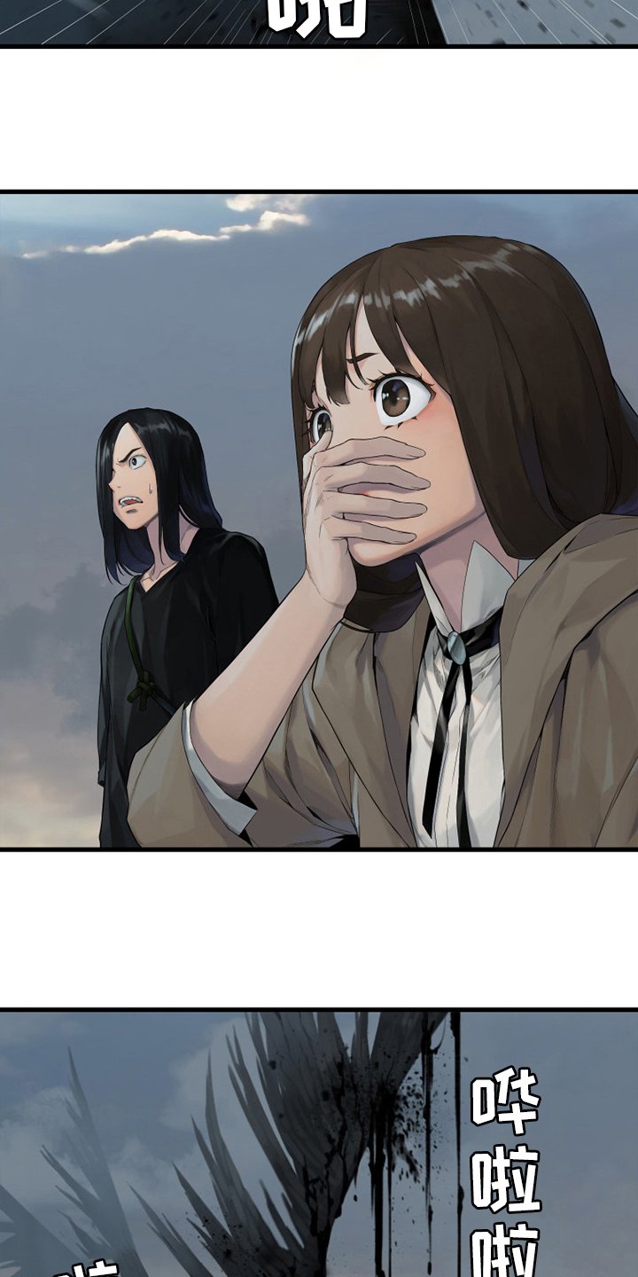 第166章：真相