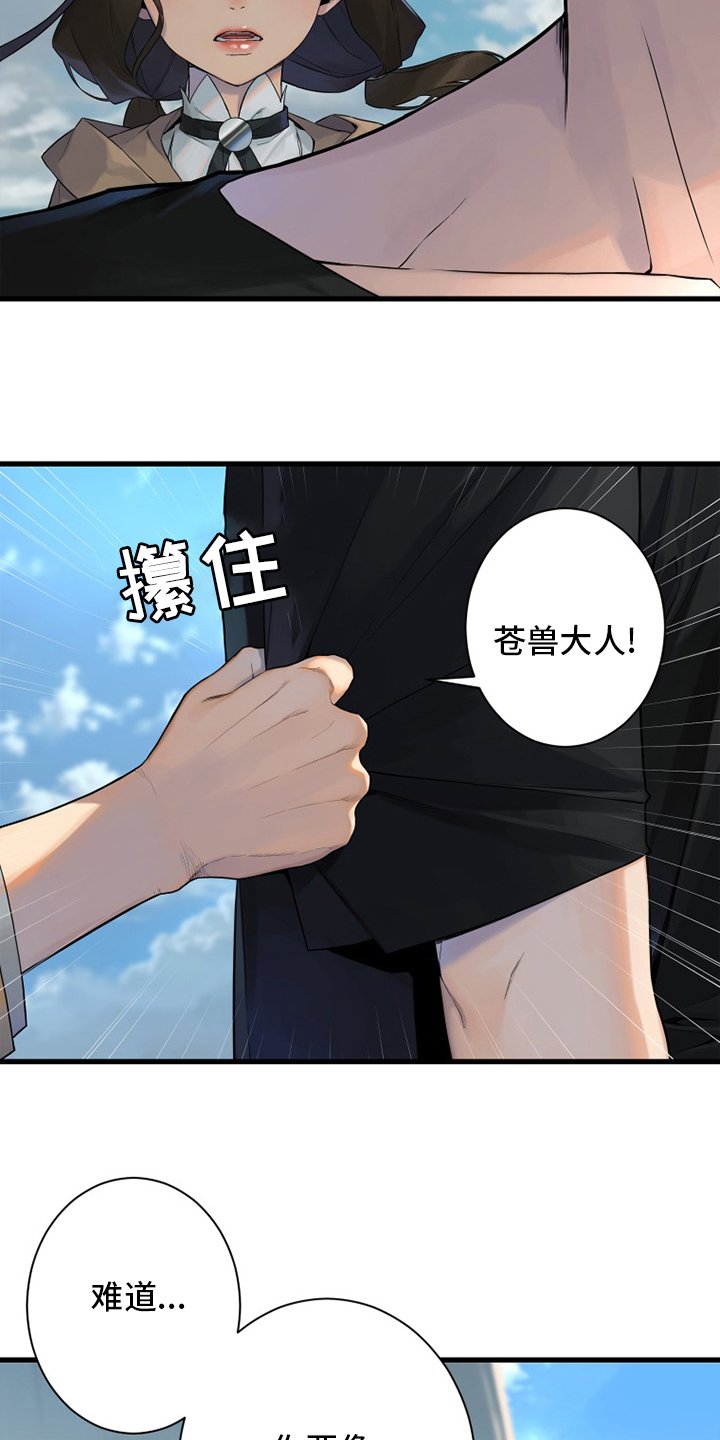 第178章：核心