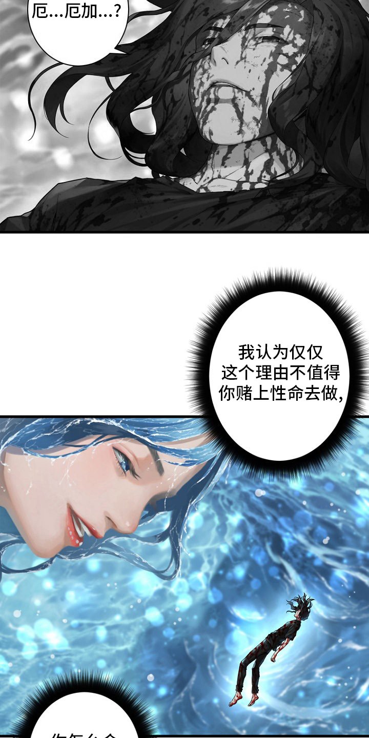 第183章：最后一次召唤