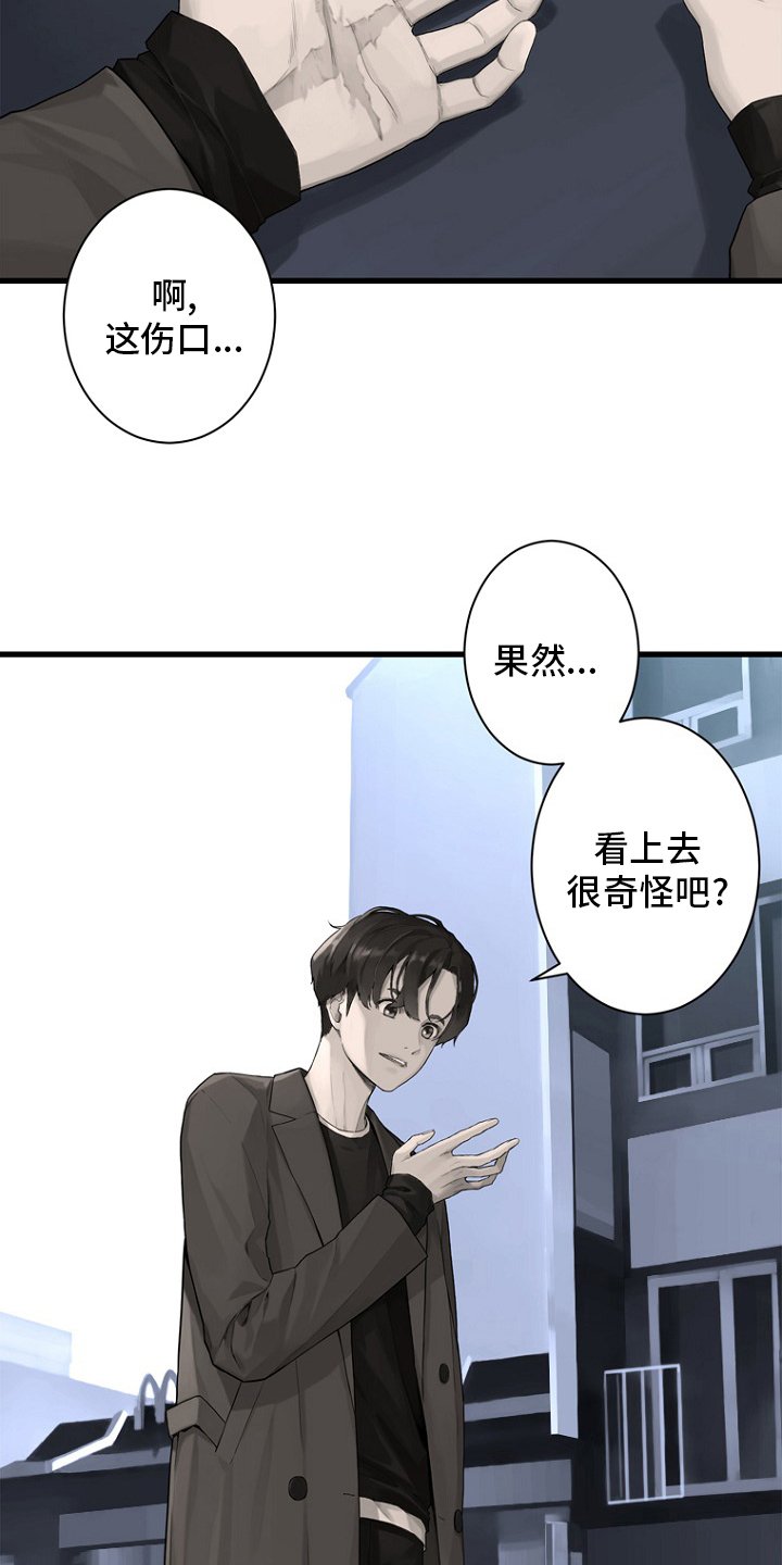 第184章：过去了