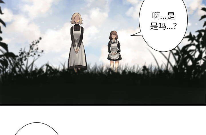 第19章：又有快递了