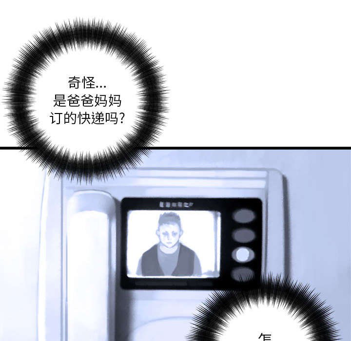 第19章：又有快递了