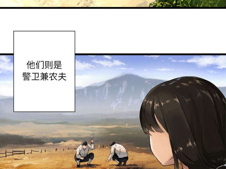 第21章：被袭击的田地