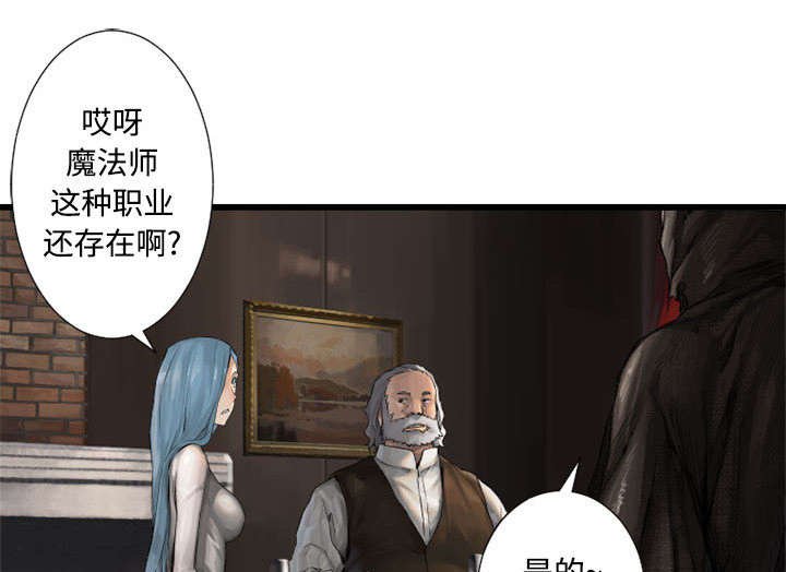 第22章：到来的魔法师
