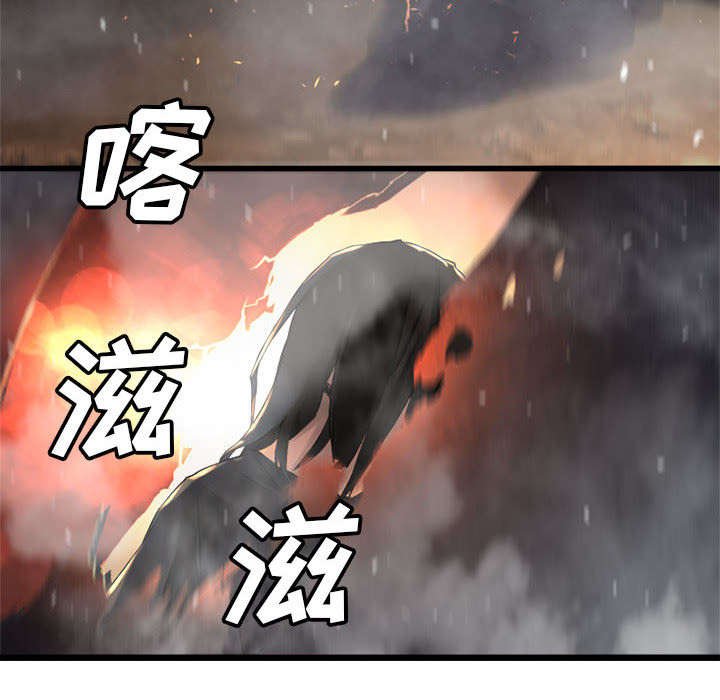 第27章：WS力场