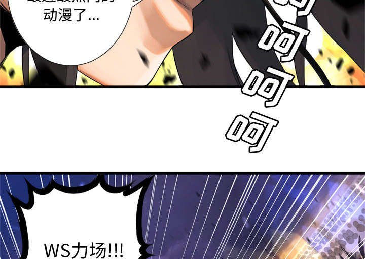 第27章：WS力场