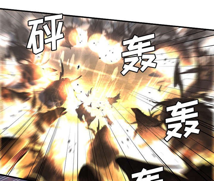 第27章：WS力场