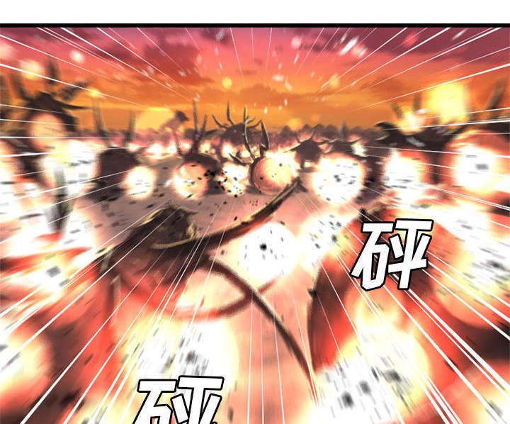 第27章：WS力场