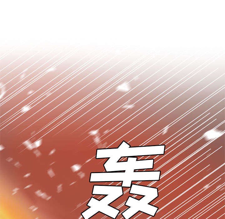 第27章：WS力场