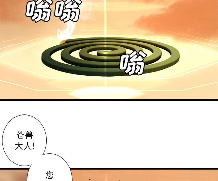 第27章：WS力场
