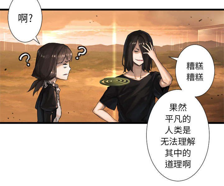 第27章：WS力场