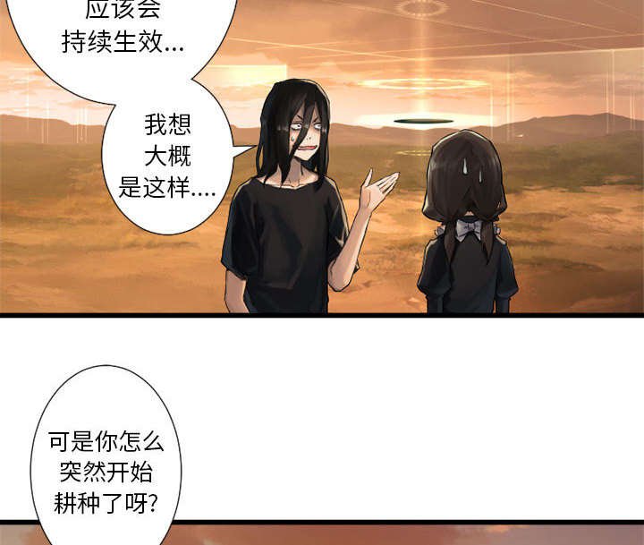 第27章：WS力场