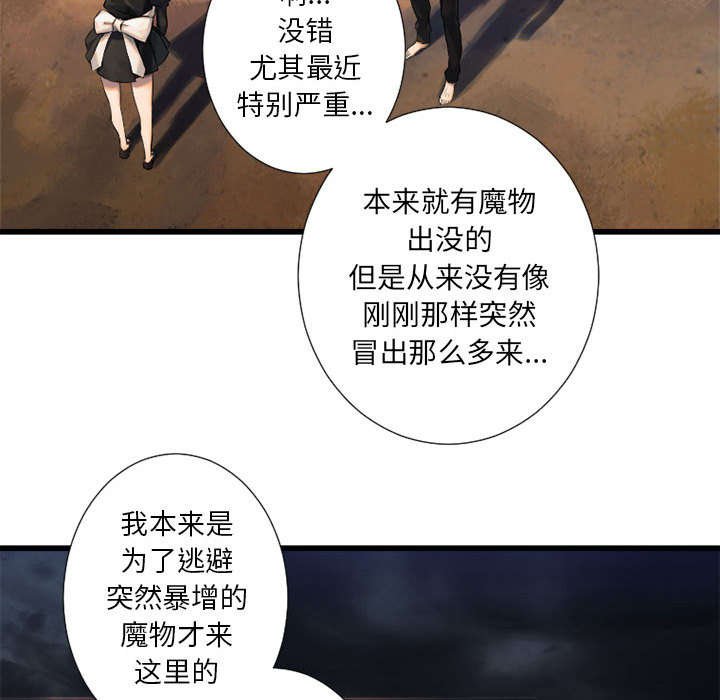 第27章：WS力场