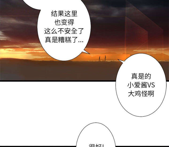 第27章：WS力场