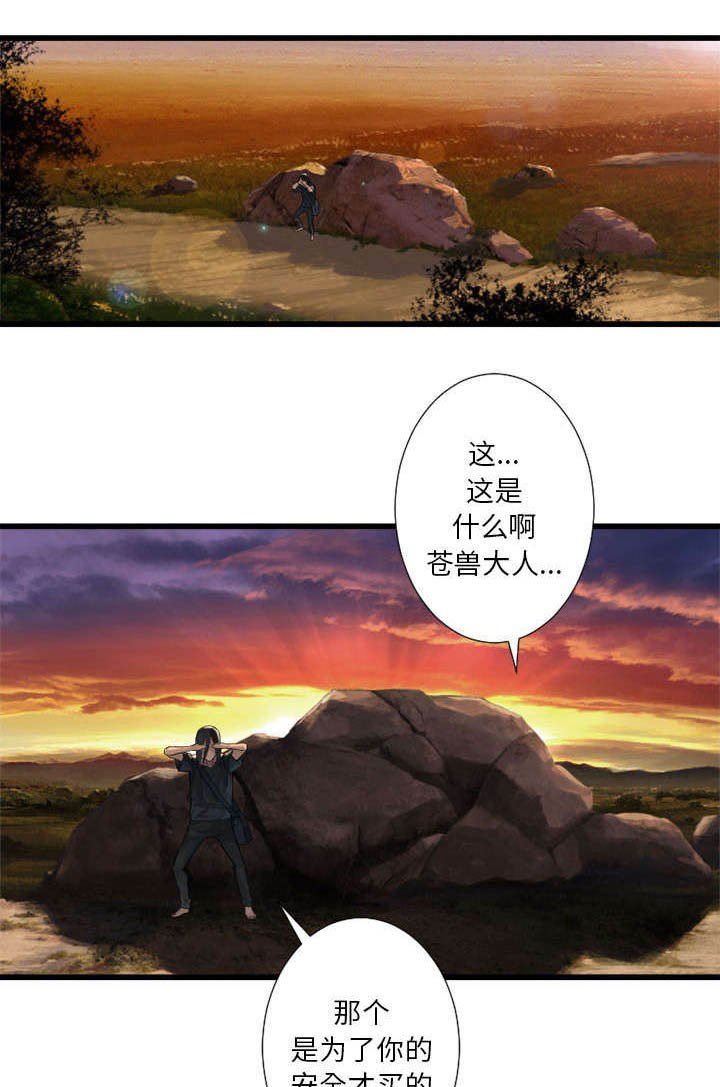 第28章：要求换装
