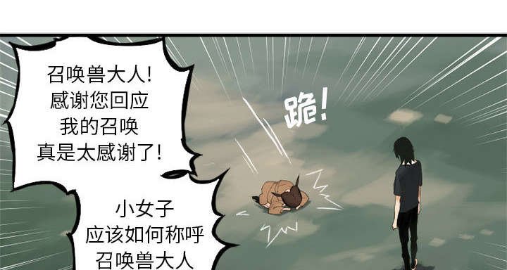 第3章：成为了召唤兽