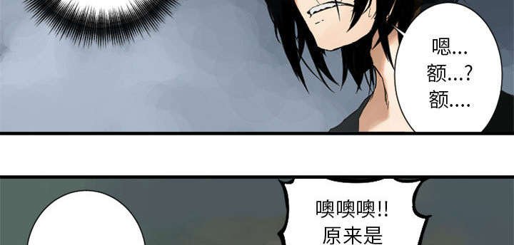 第3章：成为了召唤兽