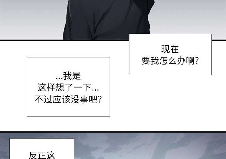 第3章：成为了召唤兽