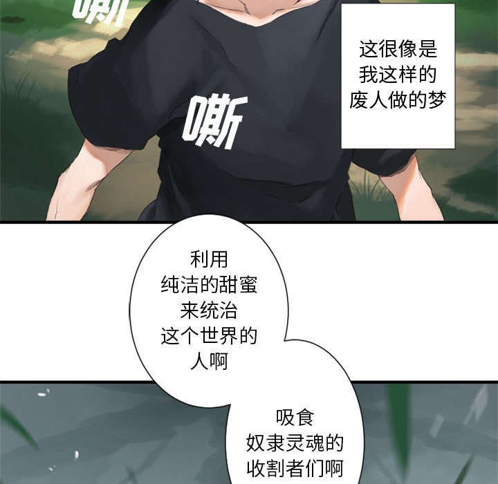 第3章：成为了召唤兽
