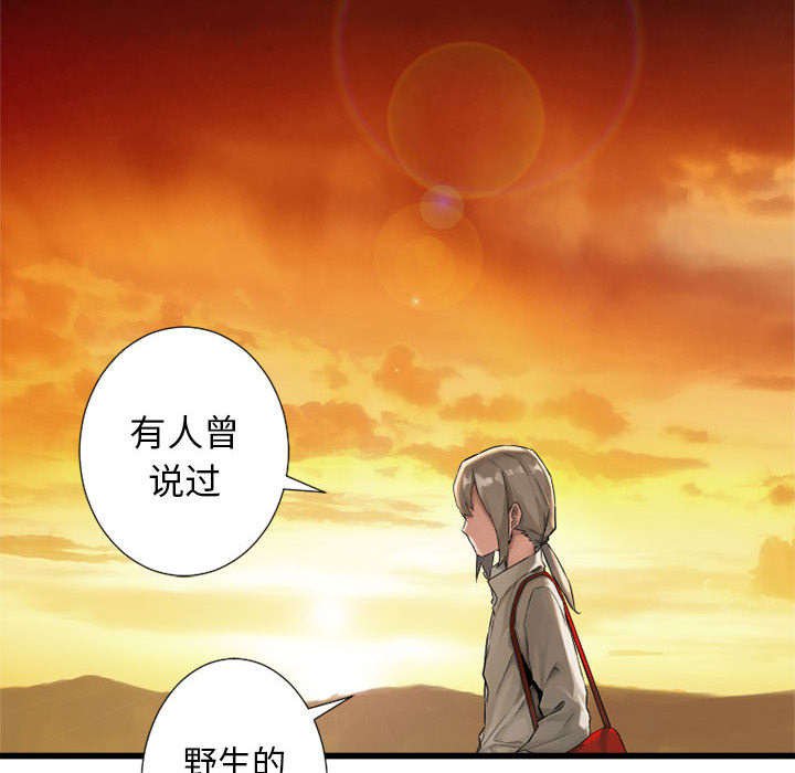 第30章：自暴自弃