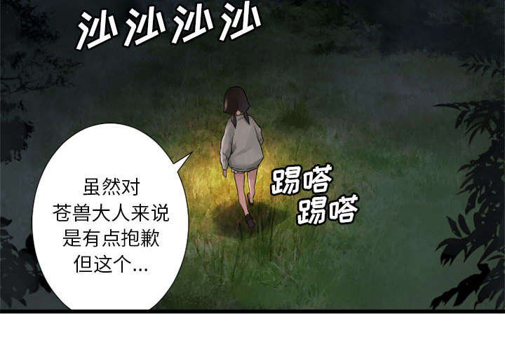 第33章：见识魔法