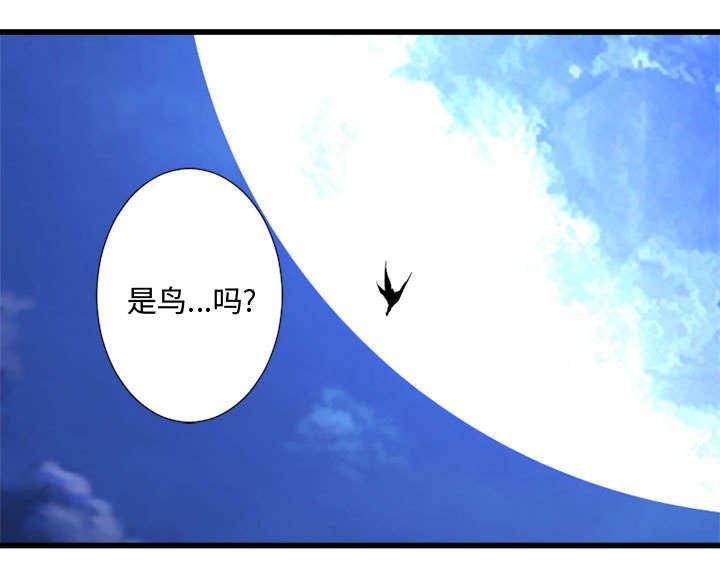 第34章：魔物来袭