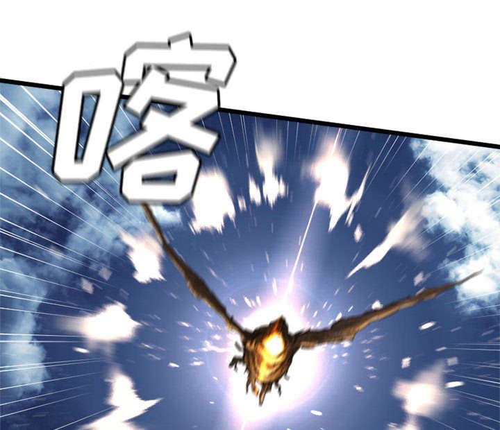 第41章：战斗