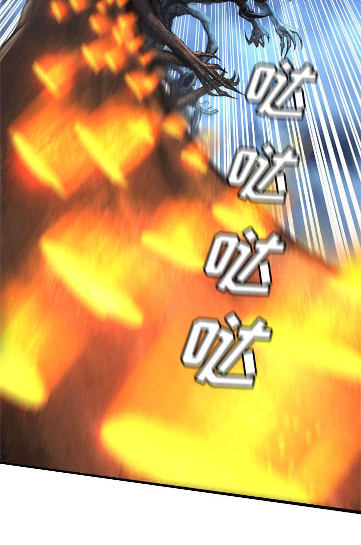 第41章：战斗