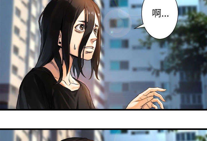 第44章：前往北部