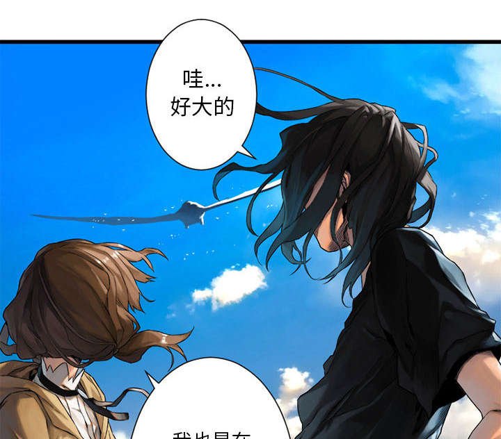 第45章：前途无岸