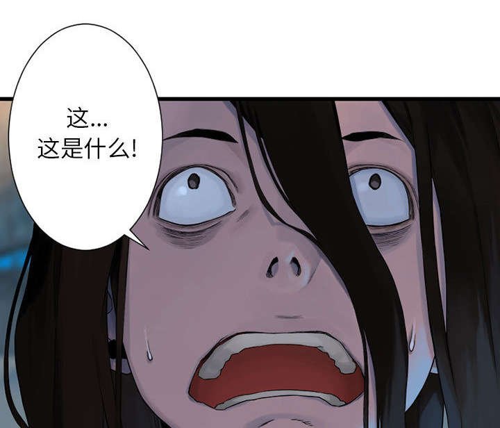 第46章：面圣