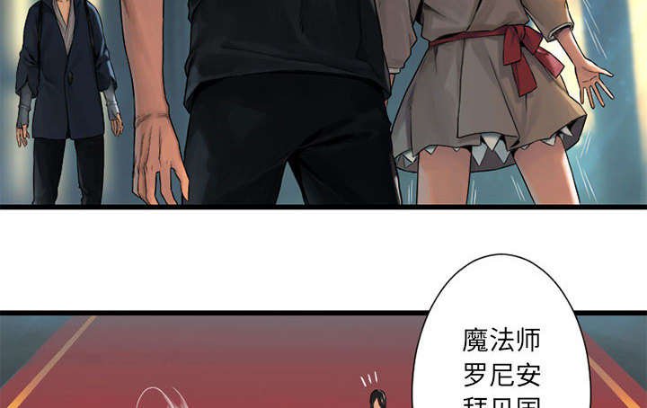第46章：面圣