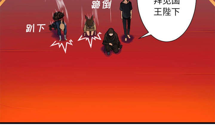 第46章：面圣