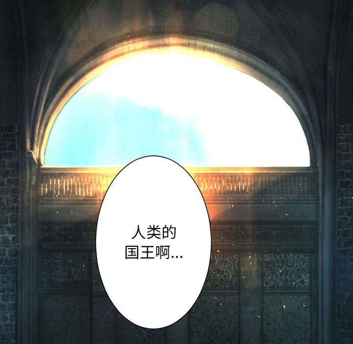 第47章：阴谋