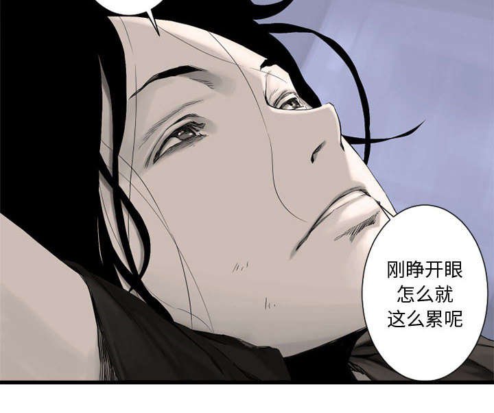 第5章：脚上的叶片