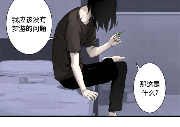第5章：脚上的叶片