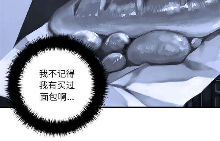 第51章：脆弱的现实
