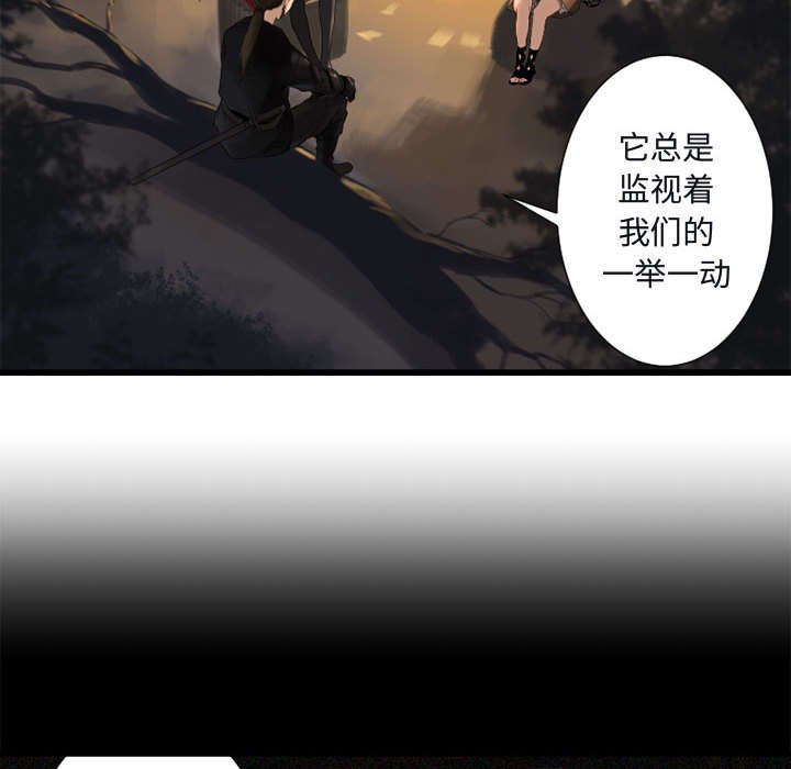 第7章：山主的传说