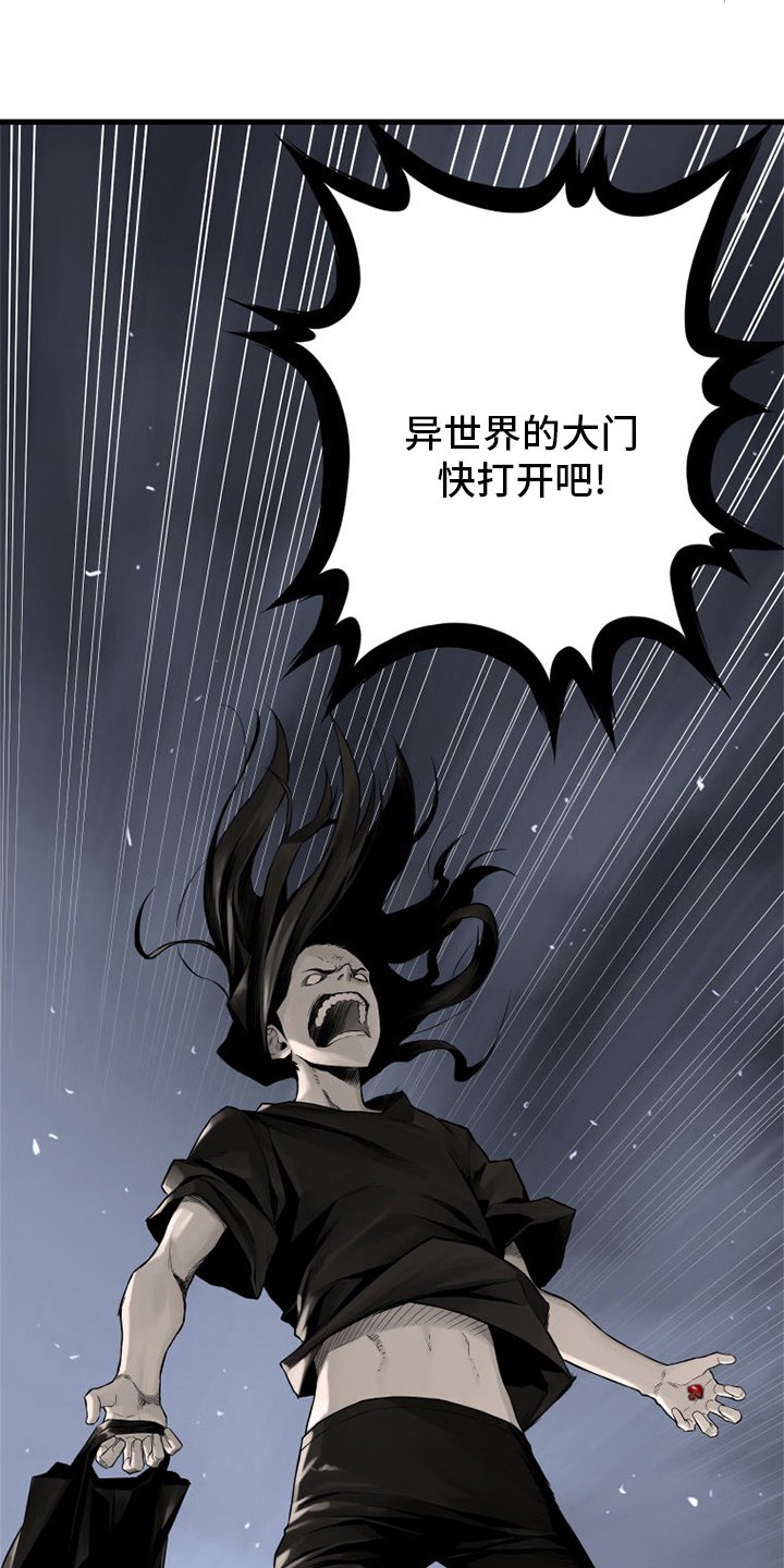 第87章：异世界的大门