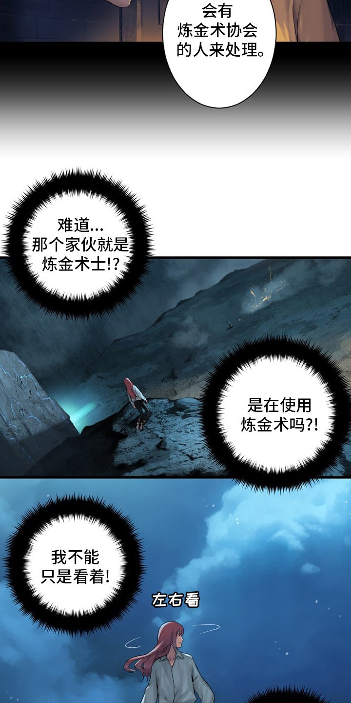 第93章：炼金术师