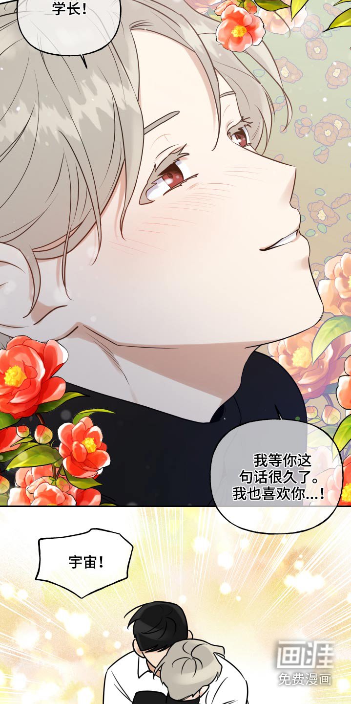 第71章：幻想