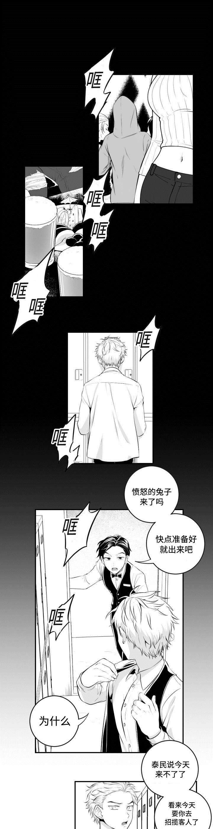 第1章：愤怒的兔子