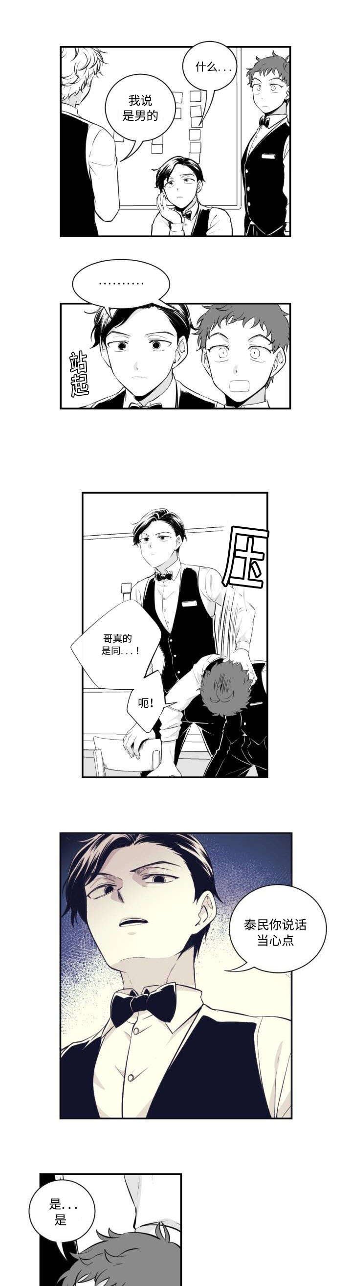 第1章：愤怒的兔子