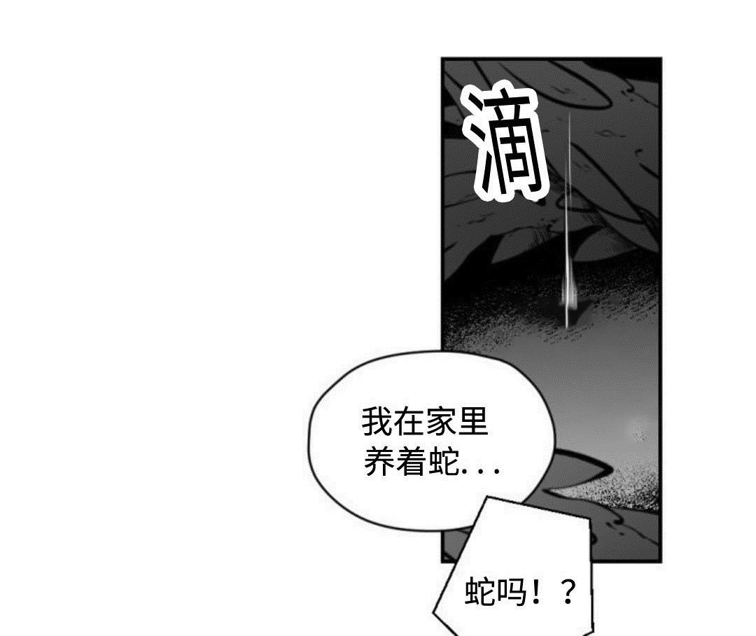 第10章：约会