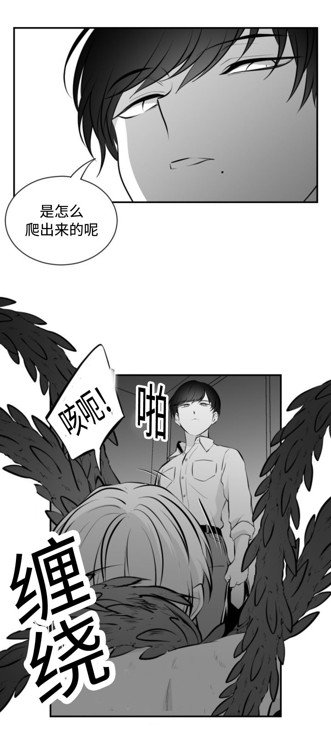 第19章：道歉