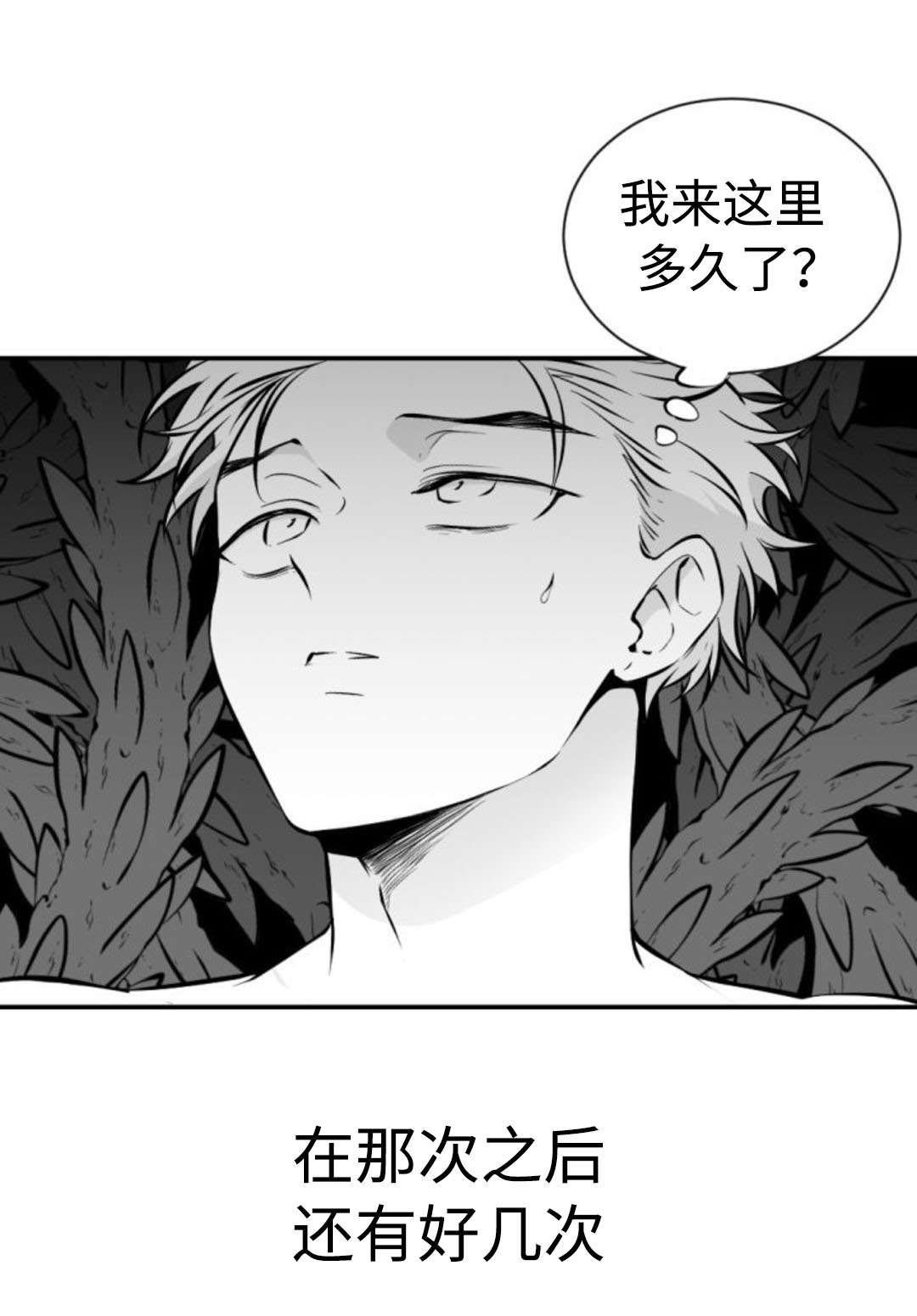 第27章：强行